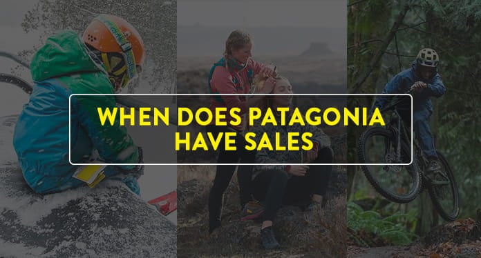 Patagonia sales