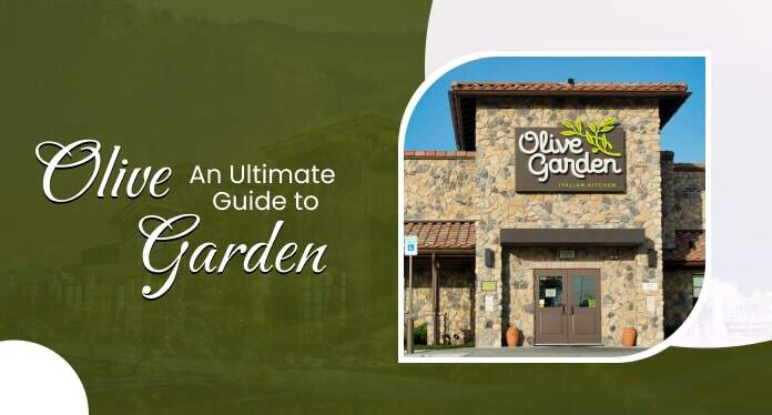 an-ultimate-guide-to-olive-garden