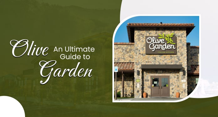 Guide to Olive Garden